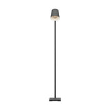 Lacey Floor Lamp - Black & Brown