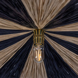 Linsamo Raffia Pendant Light
