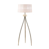 The Loewe 3 Light Floor Lamp features a modern brass finish, a white pleated drum shade, and three slender tripod legs with a glass accent below the shade—ideal for adding elegant interior lighting to any space.
