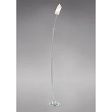 The Lucia 1 Light Frosted Glass Floor Lamp features a slim, curved polished chrome stand and a flame-shaped frosted glass shade, displayed against a plain gray background.