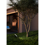 Machio LED Flood Light 50W in black, shown as a ground-mounted spike light illuminating a lawn beside a tree in an outdoor garden setting at dusk.