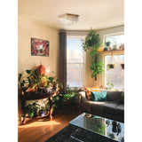 Maddison 6 Light Square Crystal Flush Ceiling Light - French Gold