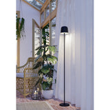 Mannera-L LED floor lamp in black with slender steel and aluminium stem, domed head, and round disc base, shown illuminated beside sheer curtains in a plant-filled conservatory.