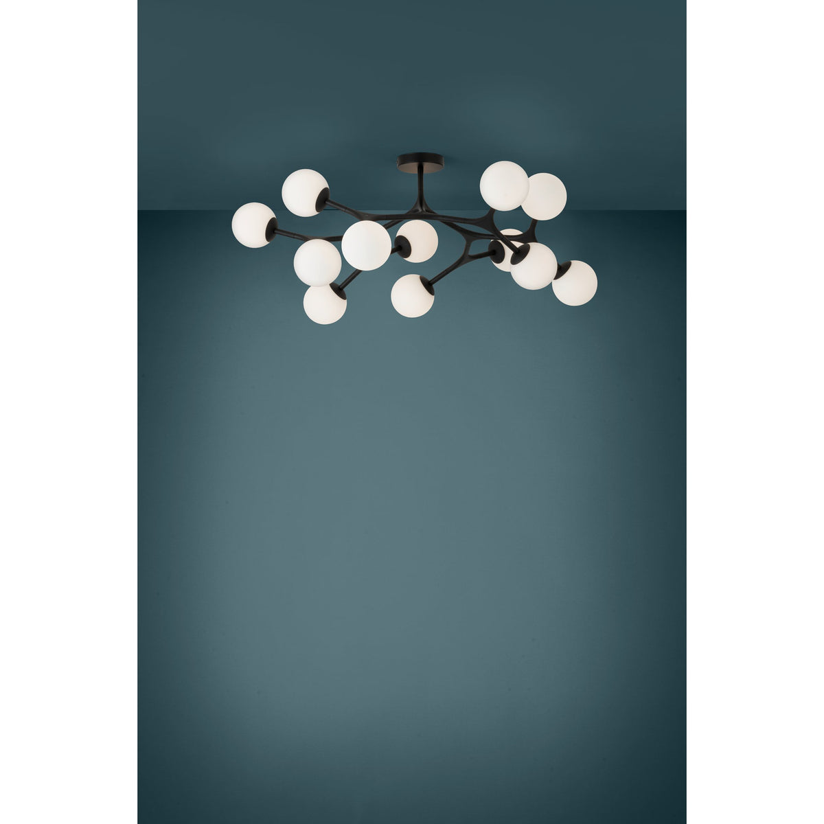 Maragall 12 Light Ceiling Light - Black