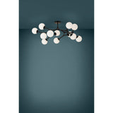 Maragall 12 Light Ceiling Light - Black