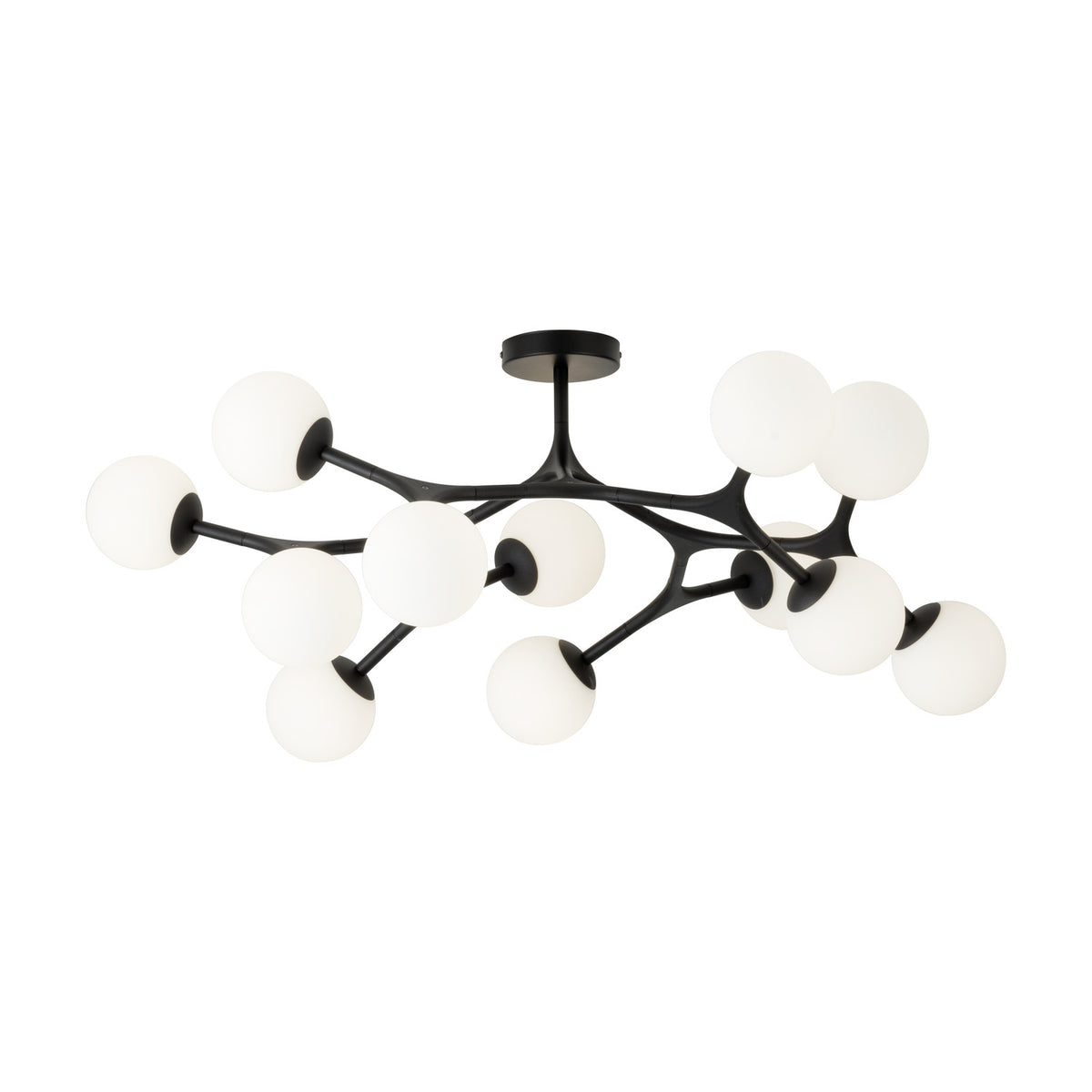 Maragall 12 Light Ceiling Light - Black