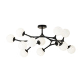 Maragall 12 Light Ceiling Light - Black