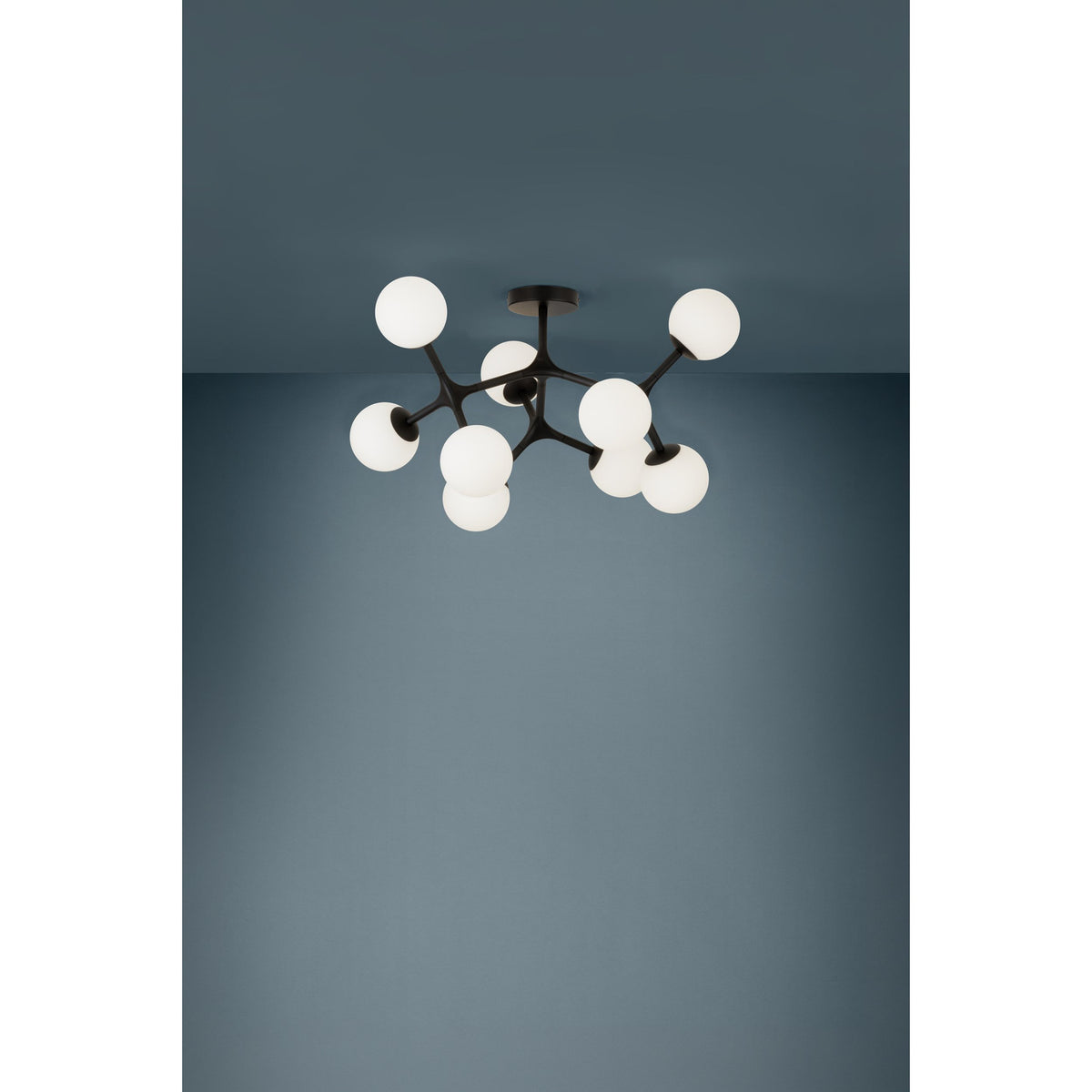 Maragall 9 Light Ceiling Light - Black