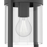 Maya 1 Light Large Outdoor Wall Light - Anthracite