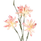 Mehakit Artificial Blossom Spray - Cream & Pink