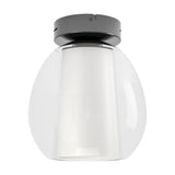 Menorca LED Ceiling Light in black nickel, a flush fitting with a round steel canopy and egg-shaped clear glass shade over a white satin glass inner cylinder, shown on a plain white background.