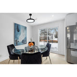 Mistral Mini CCT Dimmable LED Ceiling Fan Light With Remote Control - Black