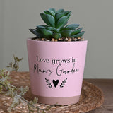 Love Grows in Mum's Garden Potted Succulent Faux Plant - Pink