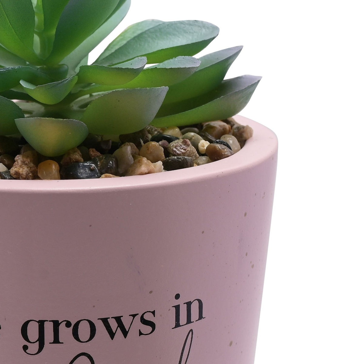 Love Grows in Mum's Garden Potted Succulent Faux Plant - Pink