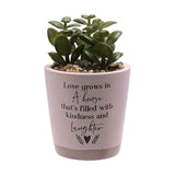 Love Grows Succulent Faux Plant with Speckled Pot - Pink