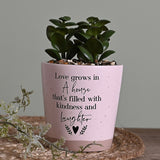 Love Grows Succulent Faux Plant with Speckled Pot - Pink