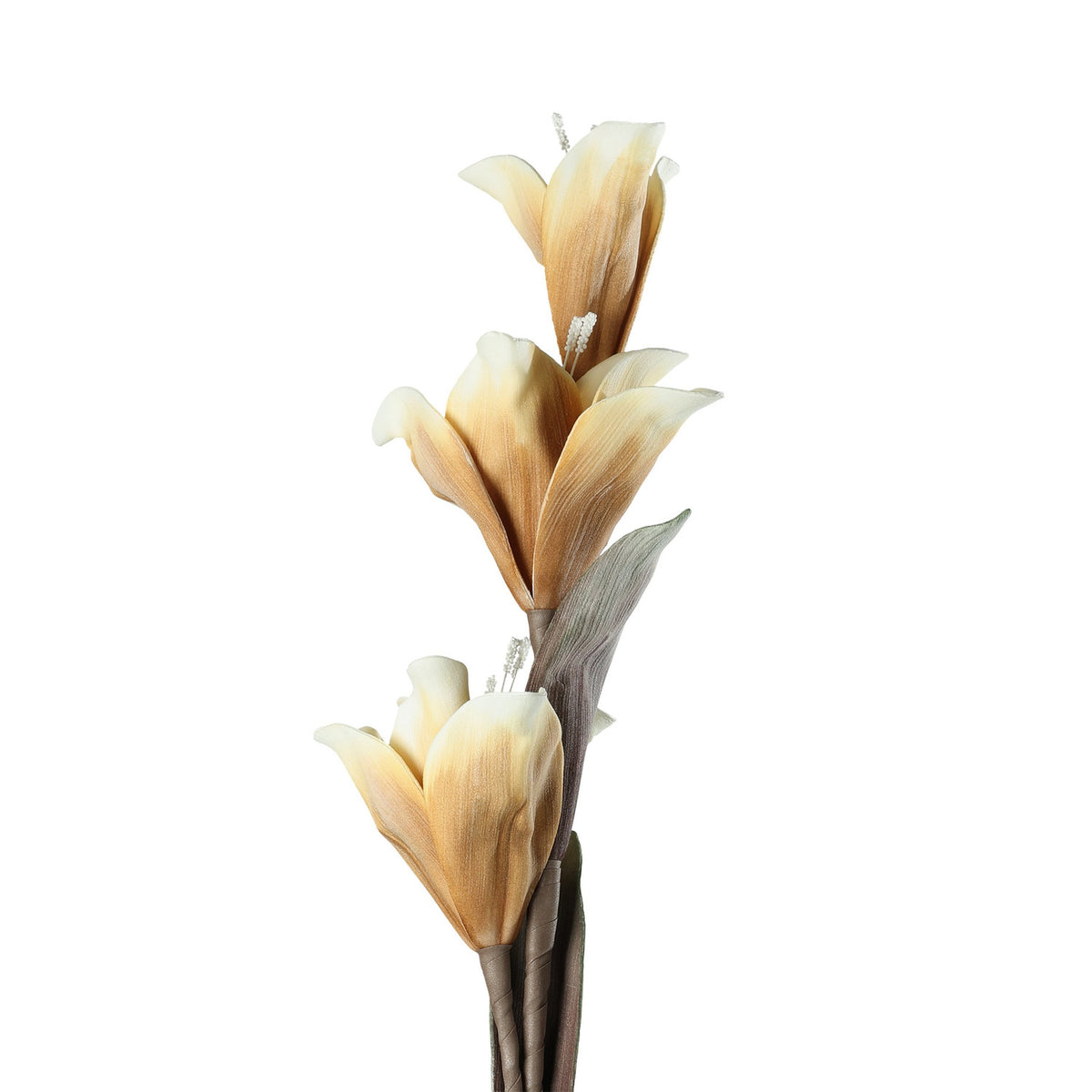 Molave Artificial Flower 428116 - Brown & White