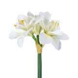 Molave Artificial Lily - White