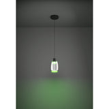 Molochio Smart Colour Changing Smoked Glass Pendant Light - Black