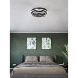 Namori Ceiling Fan with Light - Black