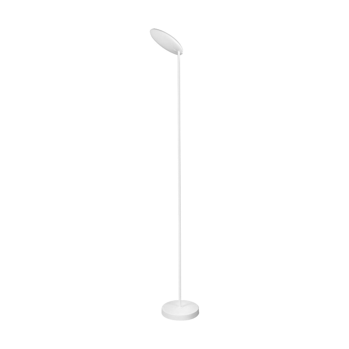 The Nassau Dimmable LED Floor Lamp 30W 3000K - White features a slim, straight pole, round flat base, and an oval-shaped head angled downward for modern, stylish illumination.