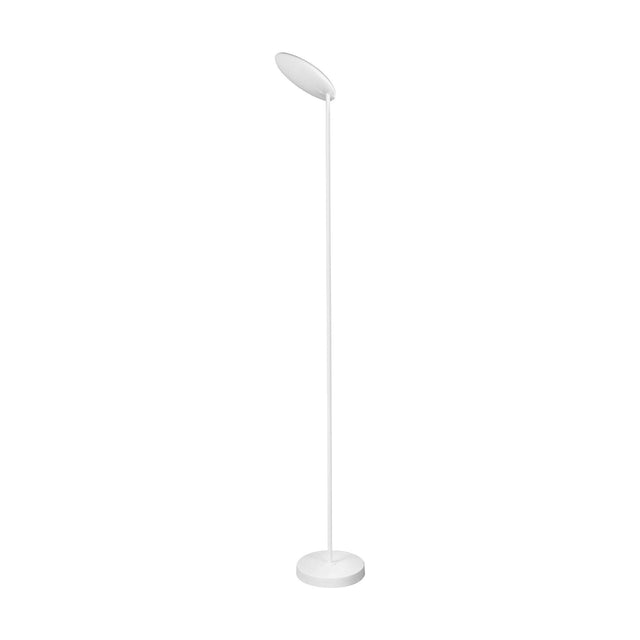 The Nassau Dimmable LED Floor Lamp 30W 3000K - White features a slim, straight pole, round flat base, and an oval-shaped head angled downward for modern, stylish illumination.