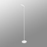 The Nassau Dimmable LED Floor Lamp 30W 3000K in white features a minimalistic contemporary design with a round base, slender tall pole, and circular lamp head, shown against a simple gradient gray background.