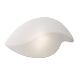 Natura 2 Light Flush Ceiling/Wall Light - Polished Chrome/Opal White