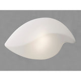 Natura 2 Light Flush Ceiling/Wall Light - Polished Chrome/Opal White
