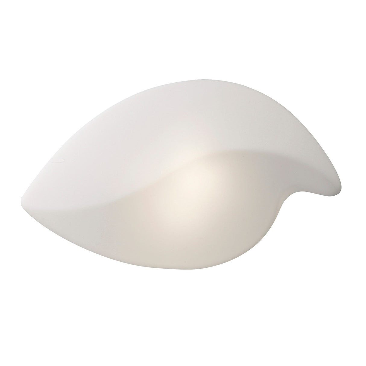 Natura 2 Light Outdoor Flush Ceiling/Wall Light - Matt White/Opal White