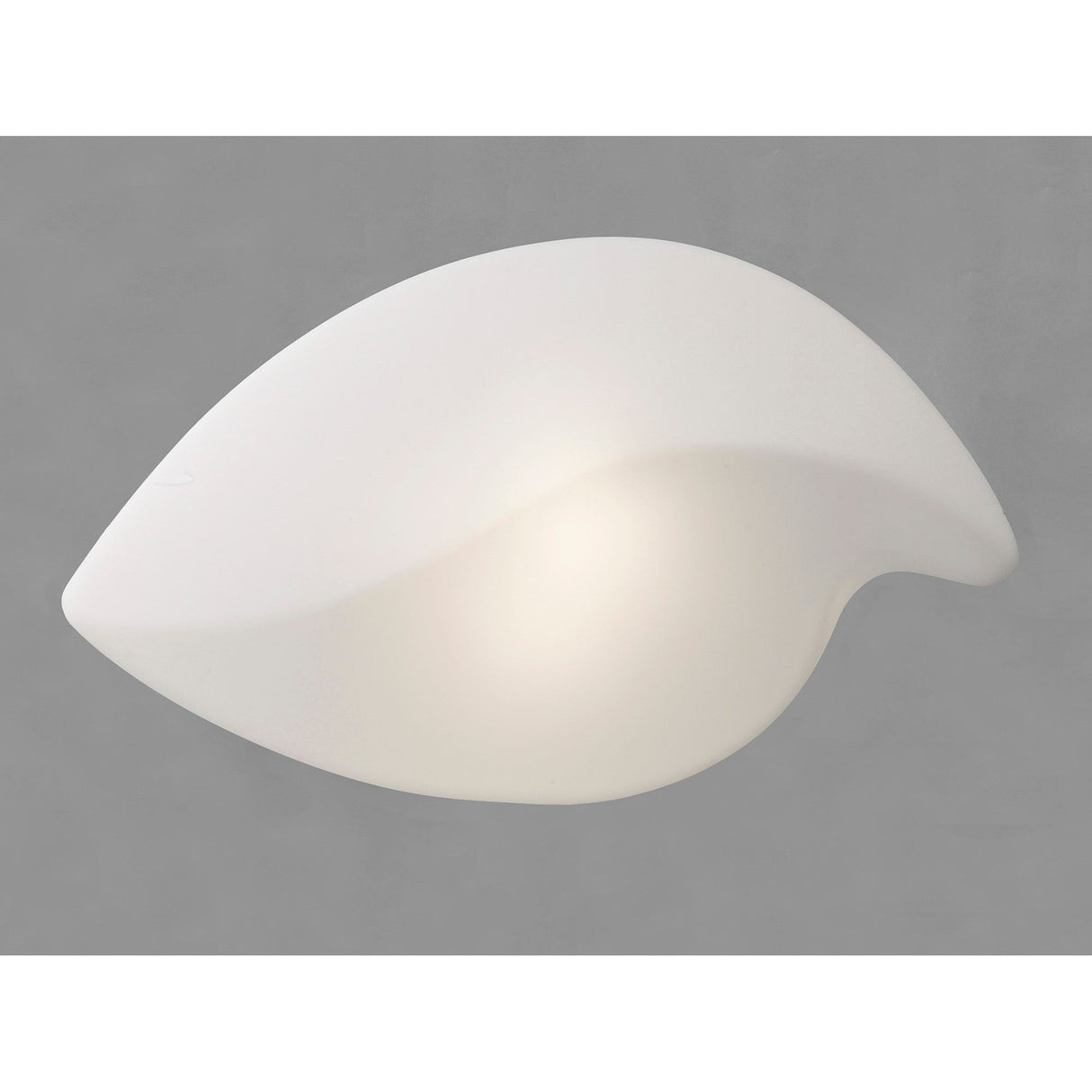 Natura 2 Light Outdoor Flush Ceiling/Wall Light - Matt White/Opal White