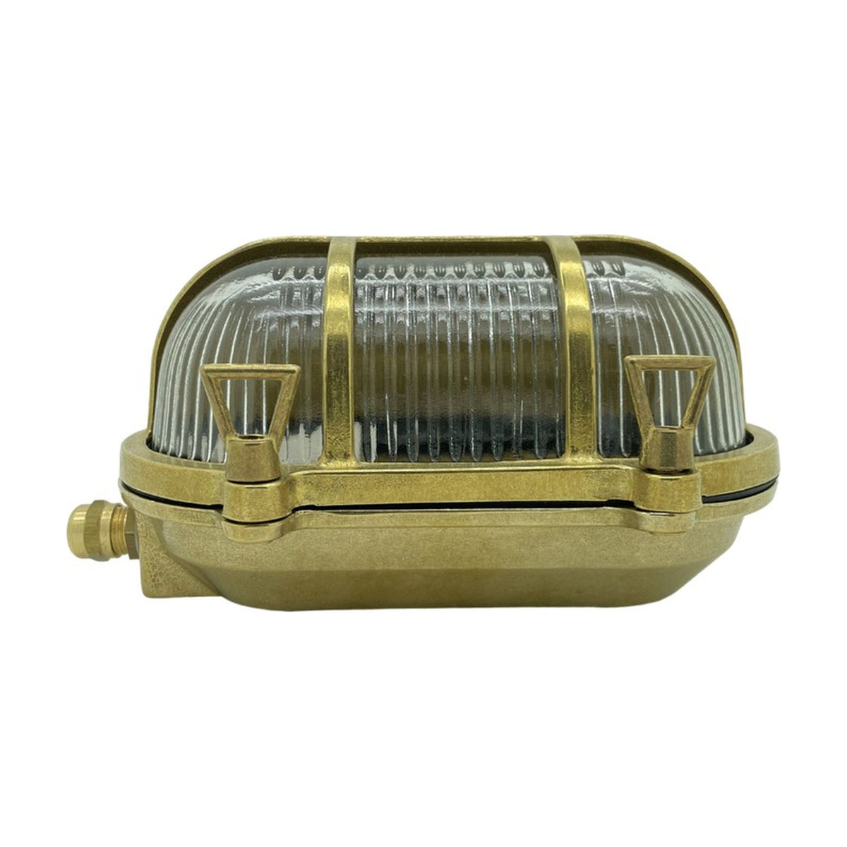 Palaemon Eyelid Bulkhead Light in raw brass, oval shape with ribbed glass lens, two guard bars, and brass eyelid hood, shown on a plain white background.