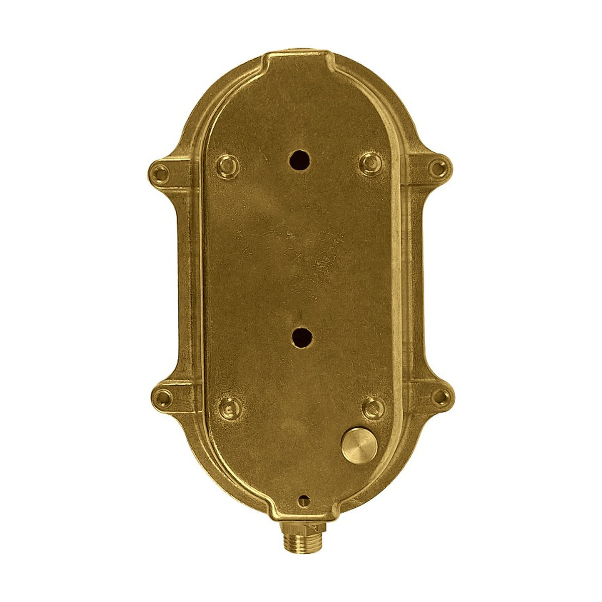 Palaemon Eyelid Bulkhead Light in raw brass, rear mounting plate view showing wiring holes, fixing screws and cable gland, set against a plain white background.