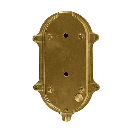 Small Siren Oval Bulkhead Light in raw brass, rear view showing solid brass body, mounting holes, screws and cable gland on a plain white background.