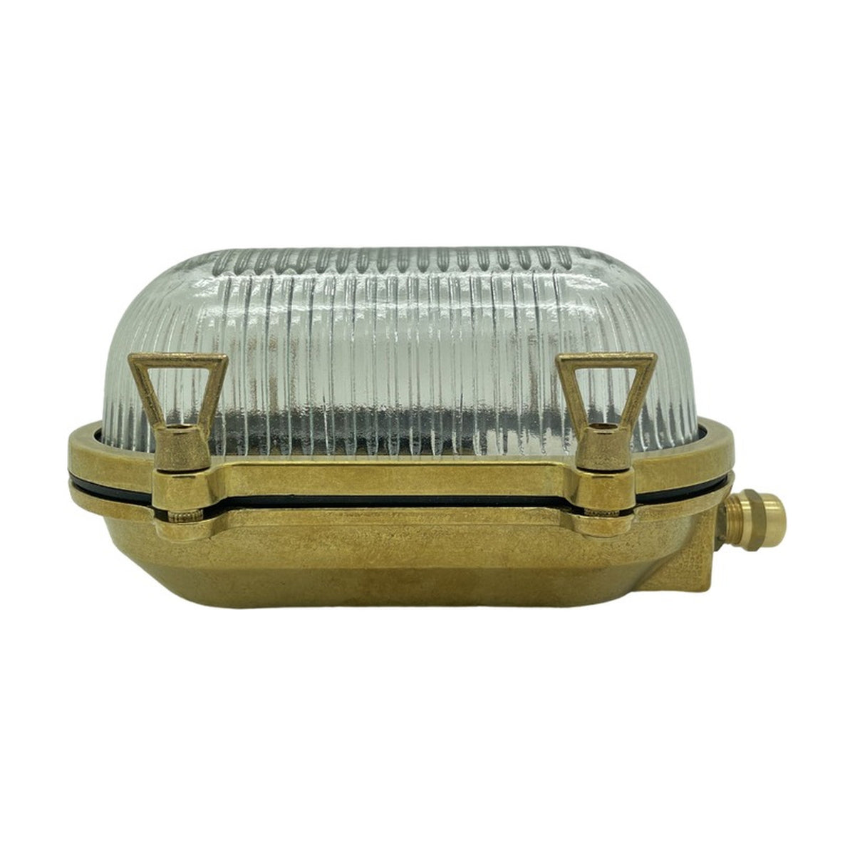 Small Siren oval bulkhead light in raw brass with ribbed glass dome cover and side cable gland, shown on a plain white background.