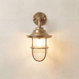 Quinn Guard outdoor wall lantern in raw brass, with a goose-neck arm, ribbed glass globe, and caged brass guard, mounted on a round wall plate against a plain light background.