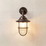 Quinn Guard outdoor wall lantern in antique brass with goose-neck arm, wide hood and ribbed glass shade in a cage guard, lit against a plain light background.