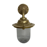 Quinn Outdoor Wall Lantern in raw brass with a gooseneck arm, round wall plate, flared hood and clear ribbed glass dome, IP64 rated, shown on a plain white background.