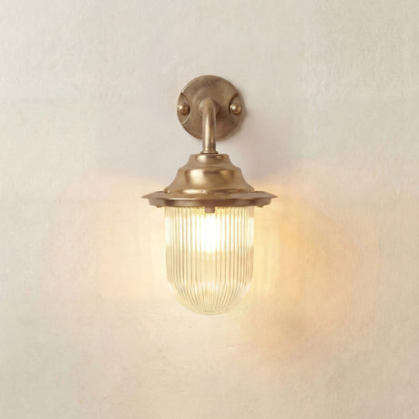 Quinn Outdoor Wall Lantern in Raw Brass, a goose-neck arm with flared hood over a clear ribbed glass dome, lit, IP64 rated, on a plain light background.