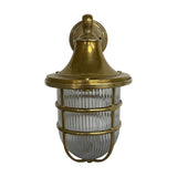 Grand Tiller IP64 outdoor wall lantern in raw brass, with a flared hood, ribbed glass shade, and protective brass cage, shown on a plain white background.