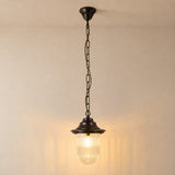 Hull Outdoor Pendant Light IP54 in antique brass, with a flared hood over a clear ribbed glass shade, hung from a long chain and round ceiling rose against a plain light background.