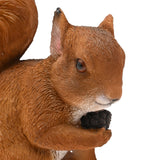 Sitting Squirrel Resin Figurine with Pine Cone 6.5cm - Brown