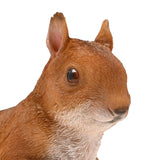 Sitting Bushy Tailed Squirrel Resin Figurine 22.5cm - Brown