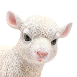 Close-up of Standing Lamb Resin Figurine with Pink Ears, white fleece in ruffled texture, pink inner ears and nose, dark glossy eyes, on a plain white background.
