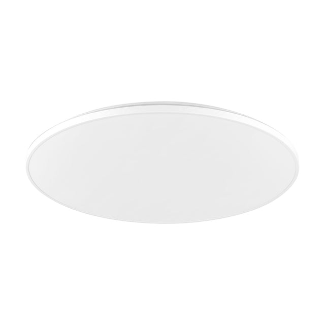Nelbenne LED Downlight 50cm in white, a round slim ceiling fixture with a frosted diffuser and fine white rim, shown at an angle on a plain white background.