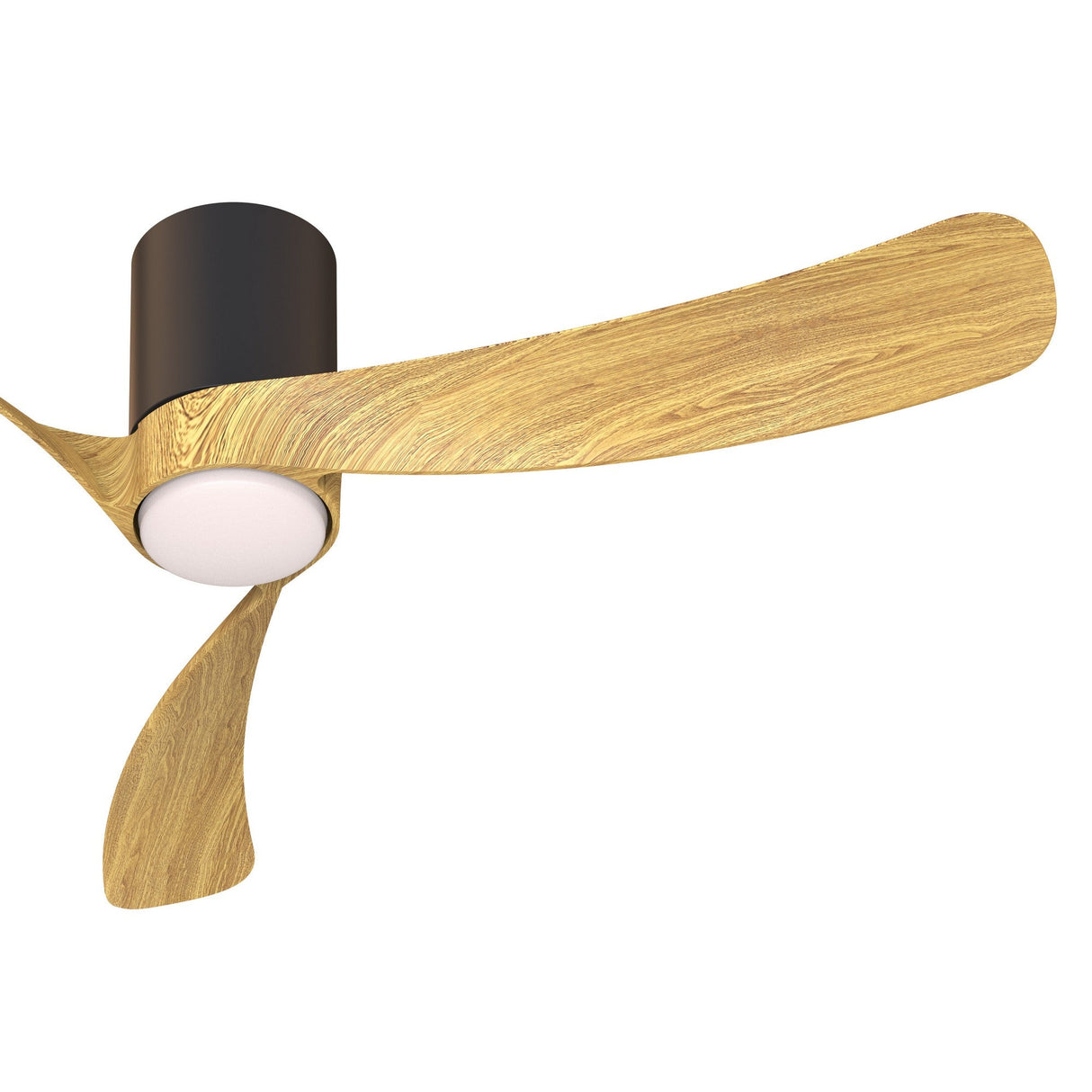 Nemo M CCT Dimmable LED Ceiling Fan Light With Remote Control - Black/Brown