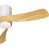 Nemo S CCT Dimmable LED Ceiling Fan Light With Remote Control - White/Brown