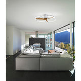 Nepal CCT Dimmable LED Ceiling Retractable Fan Light With Remote, APP & Voice Control - Silver/Brown