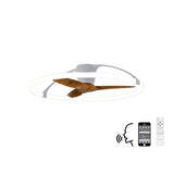 Nepal CCT Dimmable LED Ceiling Retractable Fan Light With Remote, APP & Voice Control - Silver/Brown