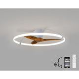 Nepal CCT Dimmable LED Ceiling Retractable Fan Light With Remote, APP & Voice Control - Silver/Brown